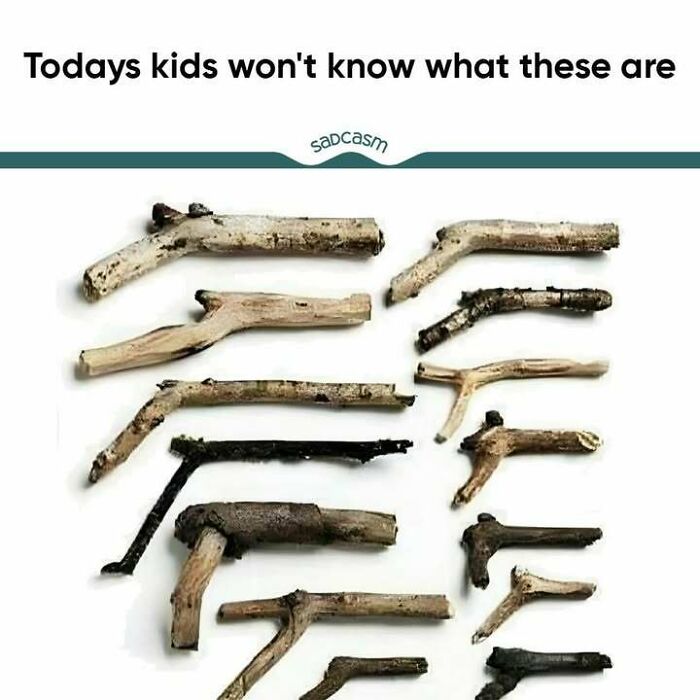 Humorous 'Sadcastic' meme with assorted sticks, questioning kids' understanding of simple objects today.