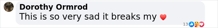 Comment expressing sadness with heart emoji, amid news about Gene Hackman timeline retraction. Comment expressing sadness with heart emoji, amid news about Gene Hackman timeline retraction.