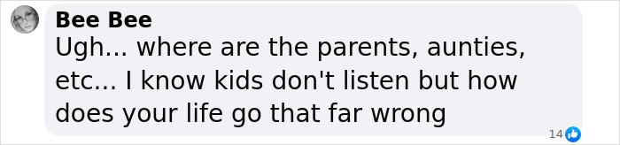 Bee Bee comment questioning parenting after Lily Phillips stunt involving 50 men.