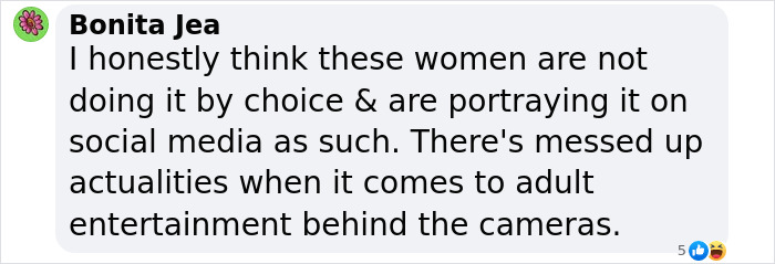 Comment critiquing adult entertainment choices, questioning social media portrayal and authenticity.