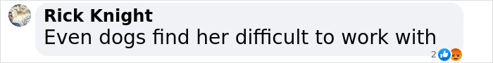 Comment about Katherine Heigl regarding her relationship with dogs in a legal context. Comment about Katherine Heigl regarding her relationship with dogs in a legal context.