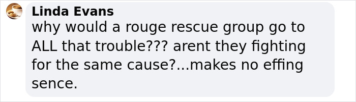 Text comment questioning a dog rescue group's actions, related to Katherine Heigl's legal case. Text comment questioning a dog rescue group's actions, related to Katherine Heigl's legal case.