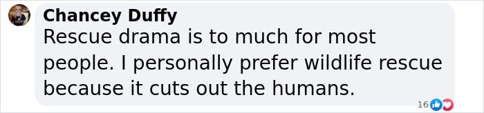 Commentary on dog rescue drama and preference for wildlife rescue over human involvement. Commentary on dog rescue drama and preference for wildlife rescue over human involvement.
