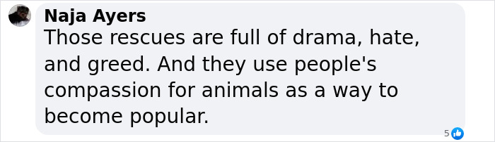 Comment criticizing dog rescues, mentioning drama, hate, and greed related to abandoned puppies. Comment criticizing dog rescues, mentioning drama, hate, and greed related to abandoned puppies.