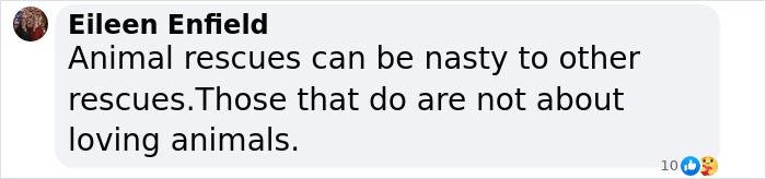 Text message criticizing animal rescues in context of Katherine Heigl lawsuit. Text message criticizing animal rescues in context of Katherine Heigl lawsuit.