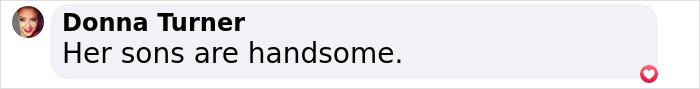 Comment by Donna Turner stating, 'Her sons are handsome,' discussing Céline Dion's bearded twin sons. Comment by Donna Turner stating, 'Her sons are handsome,' discussing Céline Dion's bearded twin sons.