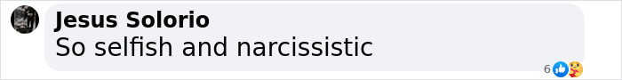 Comment screenshot saying "So selfish and narcissistic" related to "monster" mom news. Comment screenshot saying "So selfish and narcissistic" related to "monster" mom news.