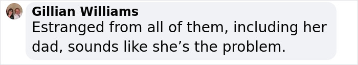 Comment criticizing Zendaya's family rift, suggesting she is the problem.