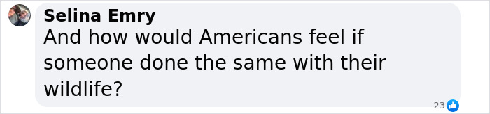 Text message discussing feelings about wildlife protection and a US woman involved in a wombat incident.