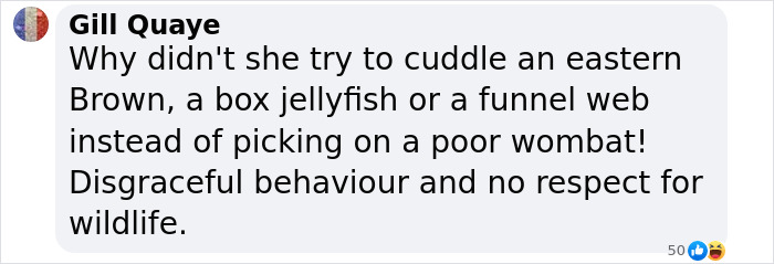 Comment criticizing woman's actions of snatching baby wombat, highlighting disrespect for wildlife.