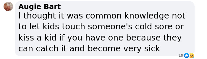 Comment discussing herpes risk for toddlers from kissing, emphasizing sickness. Comment discussing herpes risk for toddlers from kissing, emphasizing sickness.