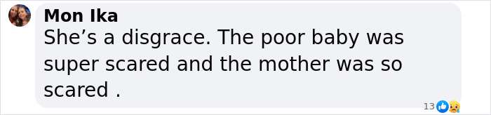 Comment criticizing US woman over baby wombat incident, with angry face emoji. Comment criticizing US woman over baby wombat incident, with angry face emoji.