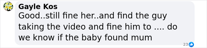 Text message expressing anger towards US woman for snatching a baby wombat. Text message expressing anger towards US woman for snatching a baby wombat.