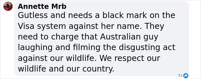 Comment criticizing a US woman for snatching a baby wombat, referencing Australian wildlife and visa issues. Comment criticizing a US woman for snatching a baby wombat, referencing Australian wildlife and visa issues.