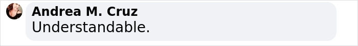 Text message from Andrea M. Cruz reading 'Understandable' on a light gray background. Text message from Andrea M. Cruz reading 'Understandable' on a light gray background.