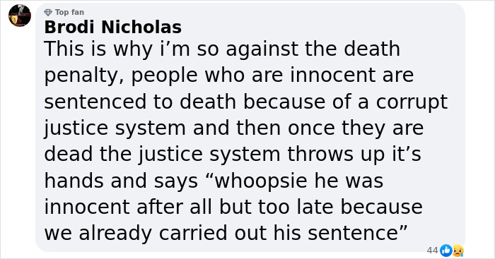 Screenshot of a comment criticizing the death penalty and justice system flaws.