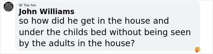 Comment questioning how a man hid under a child's bed without adults noticing.