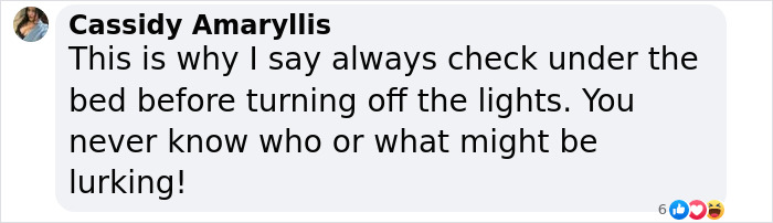 Text message about checking under the bed for monsters, suggesting caution for hidden dangers.