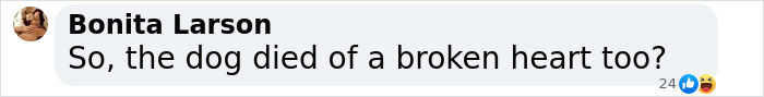 Comment asking if the dog died of a broken heart.