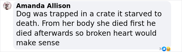 Text message about a dog dying from starvation, suggesting a theory of a broken heart.