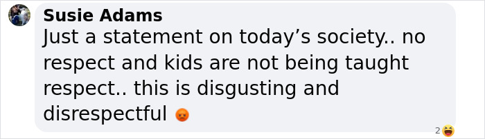 Comment expressing outrage at a photo involving Chris Hemsworth's son, mentioning disrespect and society issues. Comment expressing outrage at a photo involving Chris Hemsworth's son, mentioning disrespect and society issues.