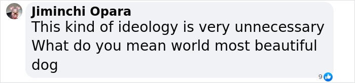 Text in an online comment questioning the concept of "most beautiful dog in the world.