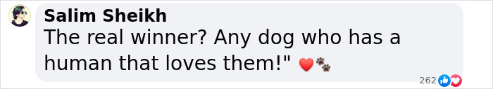 Comment highlighting the beauty of dogs and the love they receive, featuring heart and paw emojis.