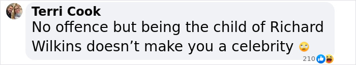 Comment criticizing Richard Wilkins&rsquo; child for not being a celebrity, mentioning Zac Efron's plastic surgeon.