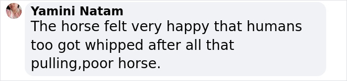 Comment supporting Irish horse carriage driver after tourists incident.