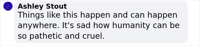 Comment on a bride-to-be's assault expressing sadness about humanity's cruelty.