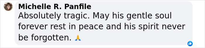 Social media tribute message for a tragic accident, with prayer emoji. Social media tribute message for a tragic accident, with prayer emoji.