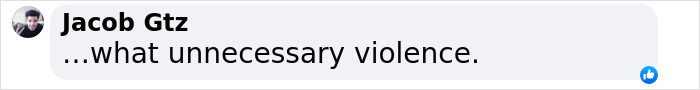 Comment by Jacob Gtz about a bachelorette party assault incident, stating &ldquo;what unnecessary violence.&rdquo;