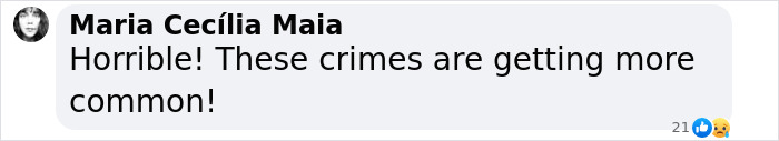 Maria Cecília Maia comments on crimes in a text bubble, expressing concern over their frequency. Maria Cecília Maia comments on crimes in a text bubble, expressing concern over their frequency.