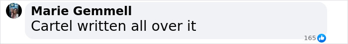 Comment mentioning cartel related to Mexican tourist spot incident. Comment mentioning cartel related to Mexican tourist spot incident.