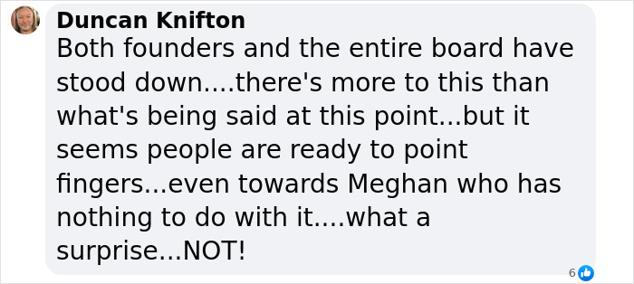 Comment criticizing board actions amid bullying and harassment claims related to Prince Harry.