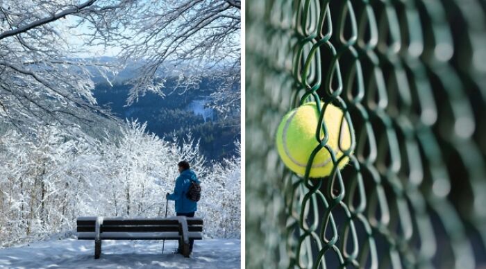 Winter scene with hiker in snow; tennis ball caught in fence, embodying "Would You Rather" dilemmas.