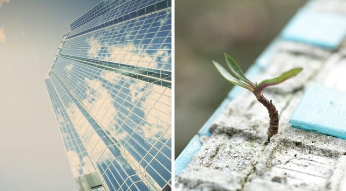 Skyscraper reflecting clouds and a small plant growing through pavement, highlighting 'Would You Rather' dilemmas.