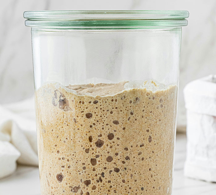 Jar of sourdough starter, showcasing a bubbly texture, offers a fascinating fact to learn something new about fermentation.