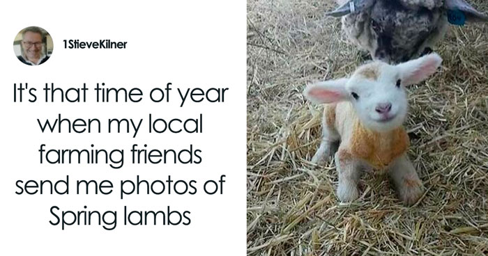 47 Tweets And Jokes Created For Your Chuckles