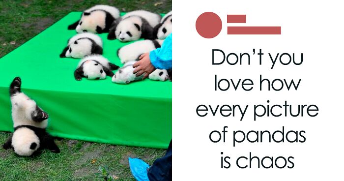 Just 50 Random But Hilarious Memes To See You Through Another Manic Week