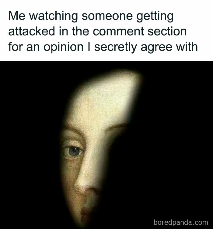 Introvert meme with a painting of a face peeking through darkness, captioned about secretly agreeing in comment sections.