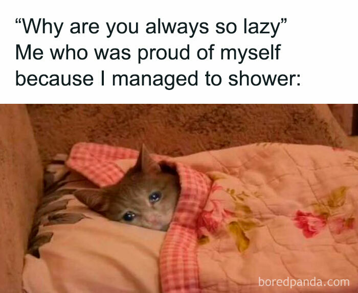 Cute cat wrapped in a blanket meme from IG account, humor for introverts, feeling proud of small achievements.