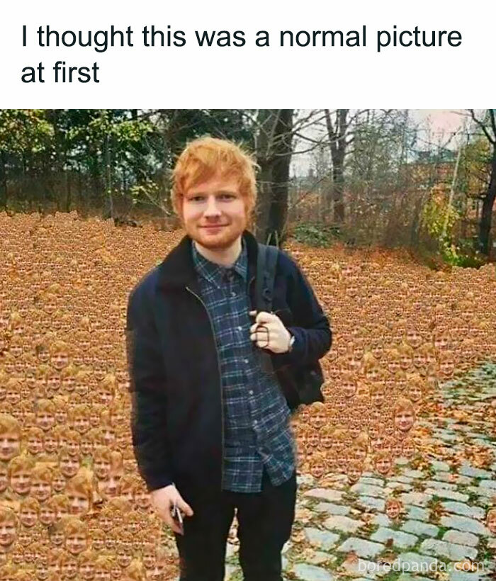 Smiling person outdoors, surrounded by many tiny versions of their face, creating an amusing meme.