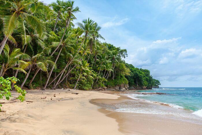 Tropical beach with lush palm trees and clear blue water. Ideal for travel enthusiasts seeking stunning beaches.