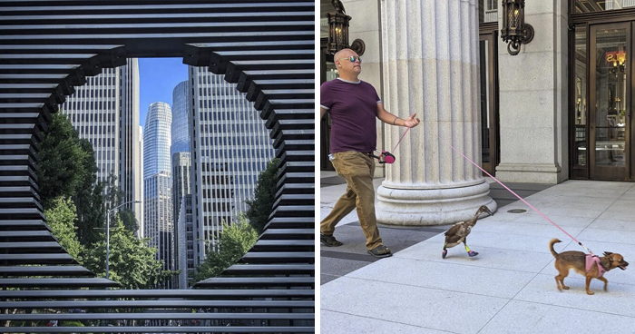 30 Stunning Photos That Showcase San Francisco’s True Spirit Through Sage Akaboshi’s Eyes