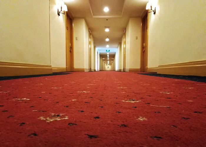 Dimly lit hotel hallway with red carpet, evoking a sense of urgency and fear.
