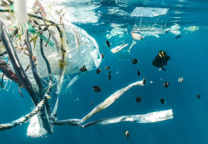 Underwater scene with fish swimming around disturbing plastic pollution.