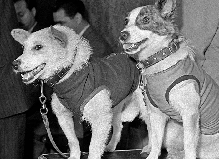 30 Terrifying Facts People Regret Ever Learning