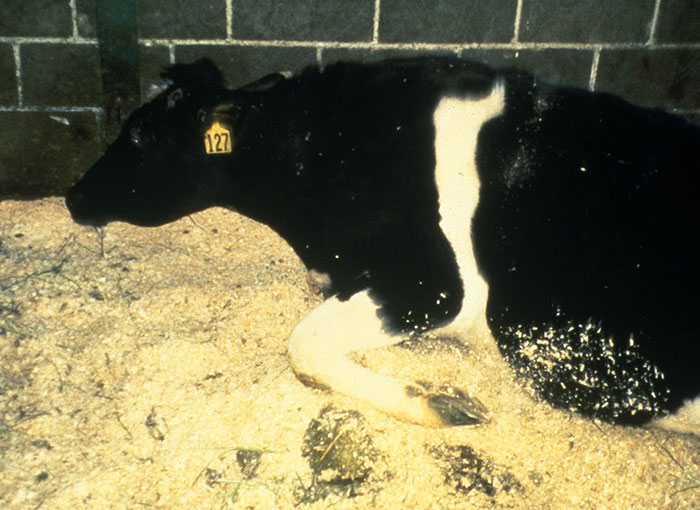 30 Terrifying Facts People Regret Ever Learning