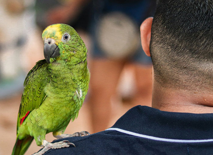 30 Terrifying Facts People Regret Ever Learning